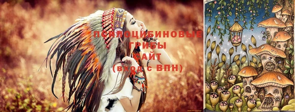 герыч Алзамай