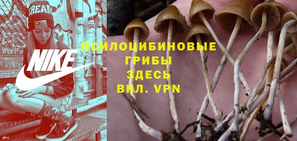 мяу мяу мука Арсеньев