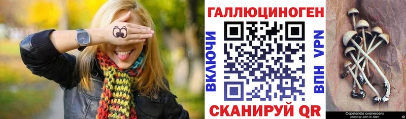 Псилоцибиновые грибы ЛСД Холм